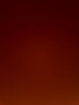 Wild wifey online show from 2, 12, 2025