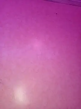 ---sophia--- online show from 21, 11, 2025