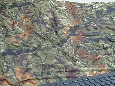 berbie  online show from 2, 10, 2025