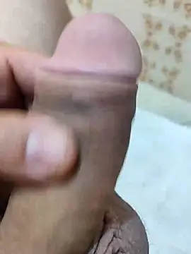 carvalhesco online show from 25, 2, 2026