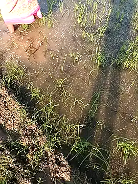 hairipussy2 online show from 7, 2, 2025