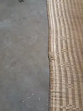 hairipussy2 online show from 6, 2, 2025