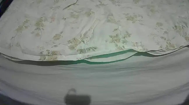 Tiger202441 online show from 4, 3, 2025