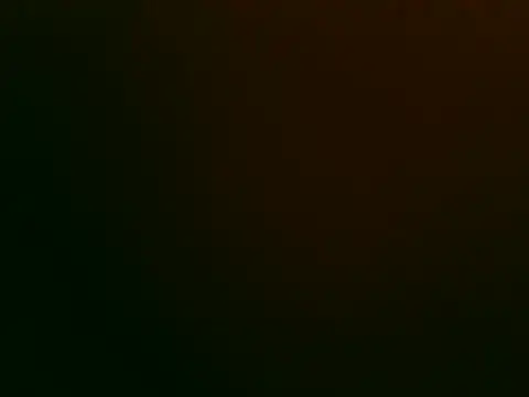 Tiger202441 online show from 12, 11, 2025