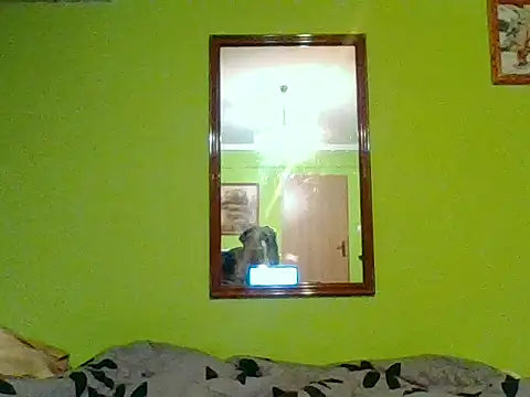 Tiger202441 online show from 7, 1, 2026