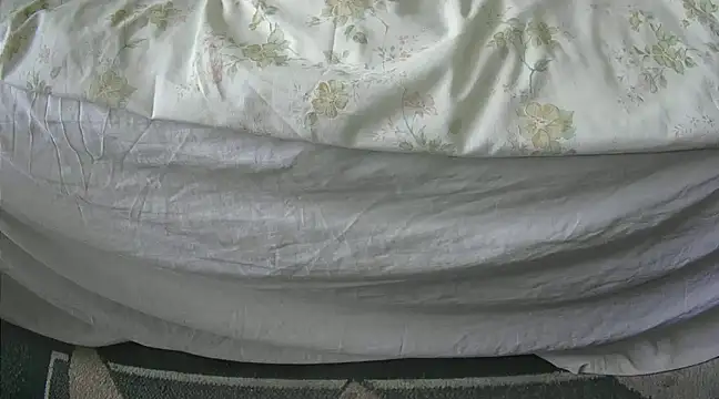 Tiger202441 online show from 27, 2, 2025