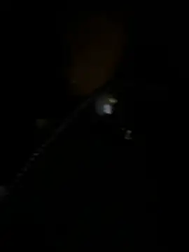 Asia-Melody online show from 2, 3, 2025