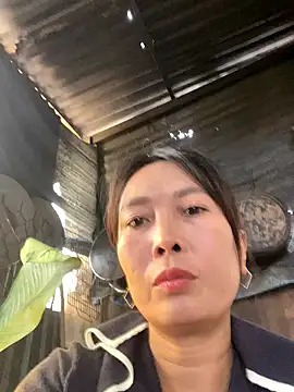 Linaannn online show from 14, 1, 2026