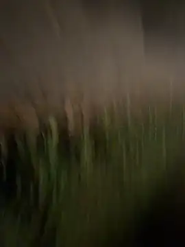 esteraulxxx online show from 4, 12, 2025