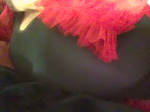 RoxiRedXXX online show from 8, 3, 2025