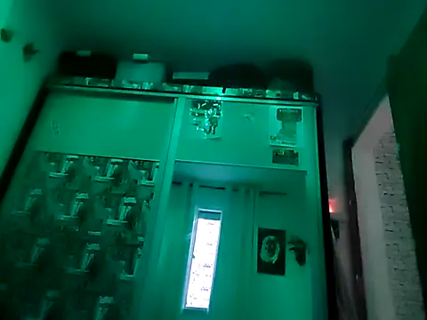 Binhosex2024 online show from 17, 3, 2025