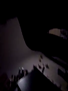 Binhosex2024 online show from 26, 10, 2025