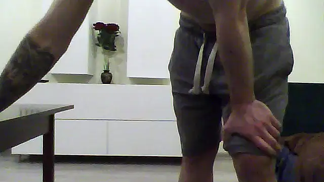 shufflercat online show from 17, 4, 2026