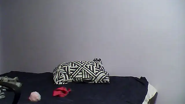 shufflercat online show from 10, 3, 2026