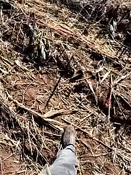 murokkk31 online show from 14, 12, 2025