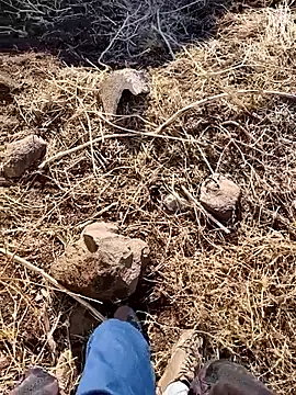 murokkk31 online show from 3, 12, 2025