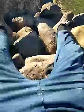 murokkk31 online show from 10, 1, 2025