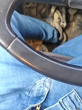 murokkk31 online show from 8, 1, 2026