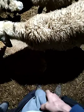 murokkk31 online show from 9, 1, 2026