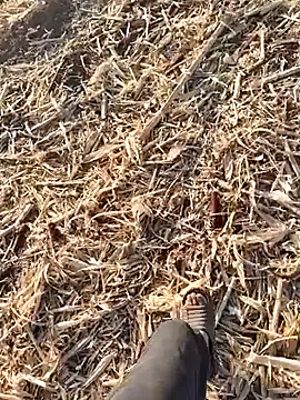 murokkk31 online show from 30, 9, 2025