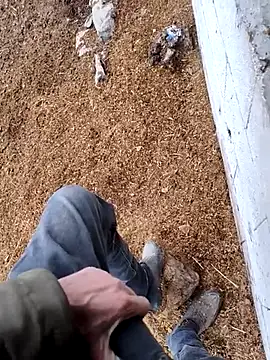 murokkk31 online show from 15, 11, 2025