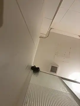 Pablo666666 hot online show from 31, 3, 2026