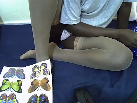 tasty piee online show from 21, 3, 2026