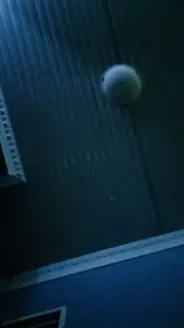 Dickey sa online show from 13, 2, 2026