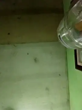 Snapshot of Alonsomadeira chatting on 17, 12, 2025 Alonsomadeira online show from 17, 12, 2025