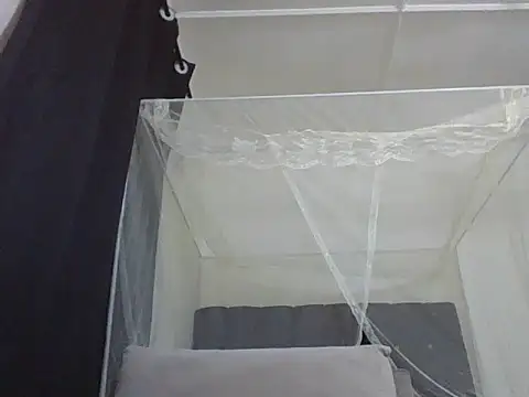 mummie Nasty254 online show from 22, 11, 2025