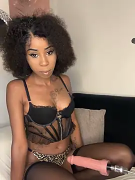 Dime-   online show from 5, 3, 2026