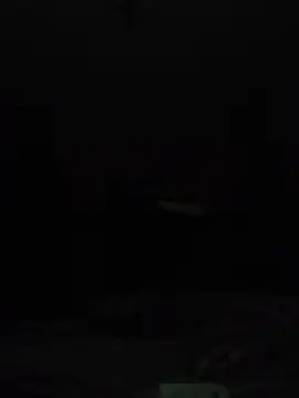 wlammi ptr online show from 14, 9, 2025