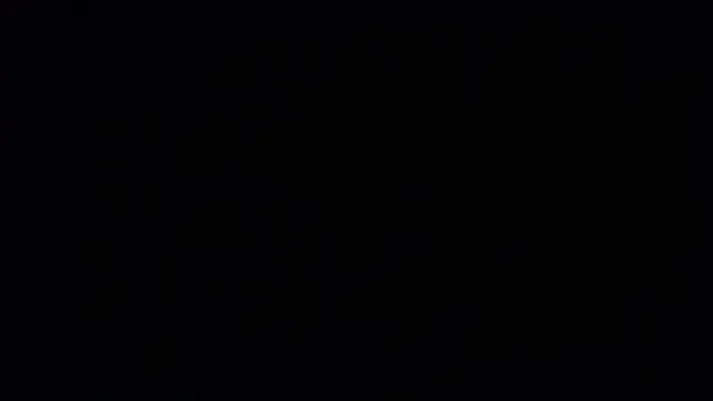 LureLily online show from 6, 10, 2025