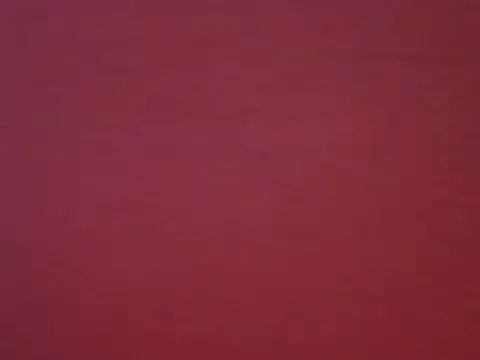 kelly255 online show from 7, 10, 2025