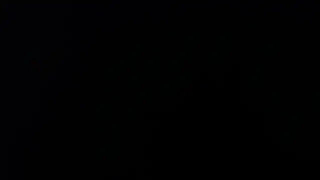 marie hss online show from 4, 10, 2025