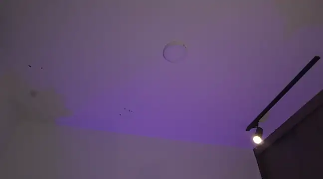 appolo allen online show from 17, 3, 2025