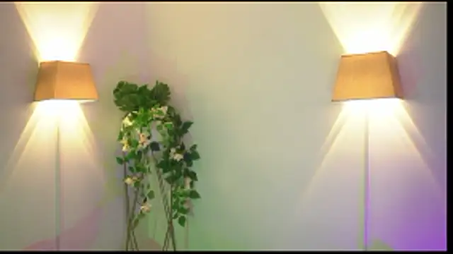 appolo allen online show from 14, 1, 2026