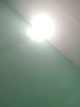 Snapshot of Luisf1267 chatting on 25, 11, 2025 Luisf1267 online show from 25, 11, 2025