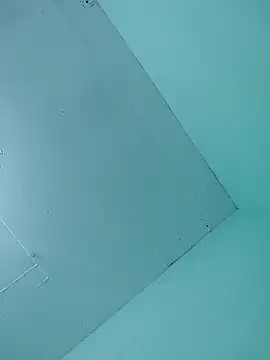 Snapshot of Luisf1267 chatting on 20, 12, 2025 Luisf1267 online show from 20, 12, 2025