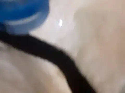 pedrodavid  online show from 14, 3, 2025