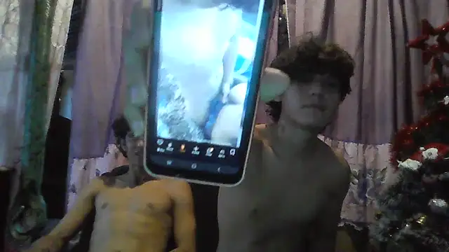 pedrodavid  online show from 11, 11, 2025