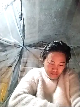 Snapshot of pvppm chatting on 12, 3, 2025 pvppm online show from 12, 3, 2025