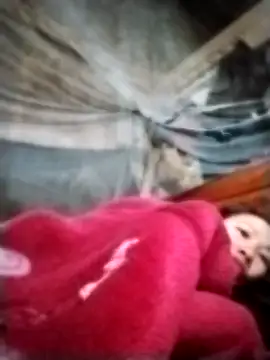 Snapshot of pvppm chatting on 22, 3, 2025 pvppm online show from 22, 3, 2025