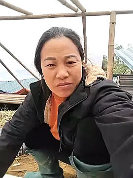 Snapshot of pvppm chatting on 17, 3, 2025 pvppm online show from 17, 3, 2025