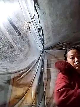 Snapshot of pvppm chatting on 16, 3, 2025 pvppm online show from 16, 3, 2025