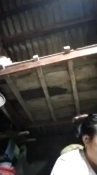 Snapshot of pvppm chatting on 5, 3, 2025 pvppm online show from 5, 3, 2025