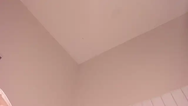 julieta flower online show from 12, 3, 2025