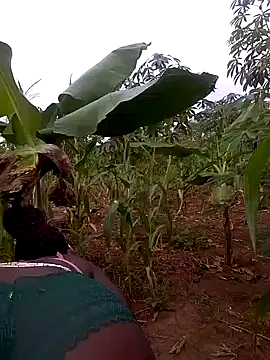 Sherry she online show from 28, 11, 2025