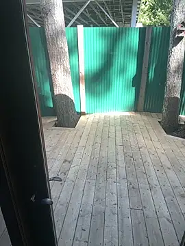 twist699 online show from 31, 3, 2026