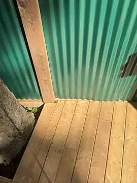 twist699 online show from 24, 4, 2026